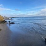 photo_2025-12-29_09-56-07 (3)