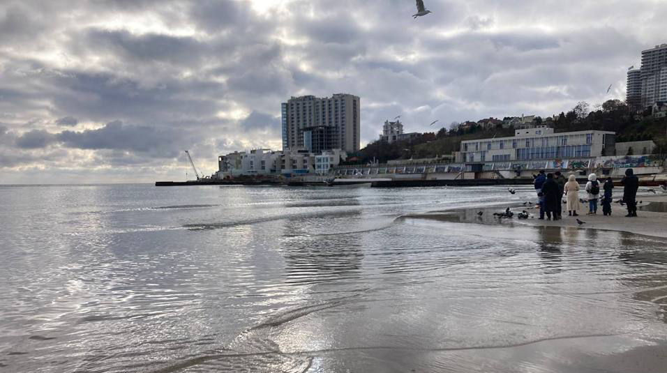 Ситуация с загрязнением побережья Одессы по состоянию на 29 декабря