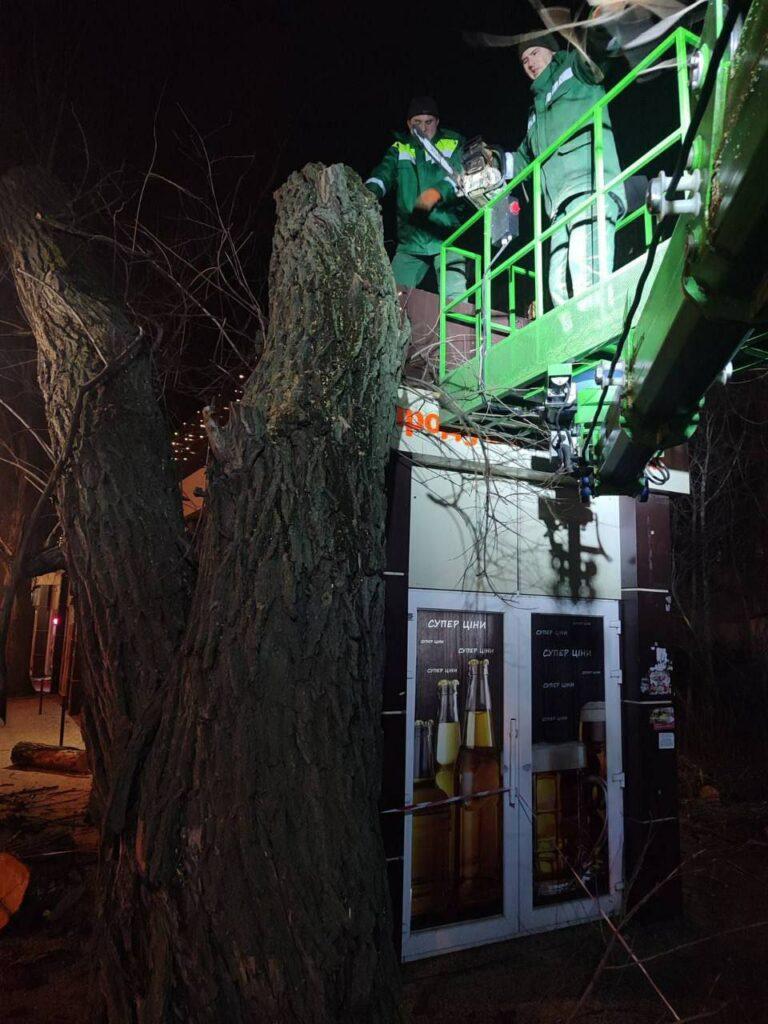 Наслідки негоди в Одесі: штормовий вітер повалив 15 дерев