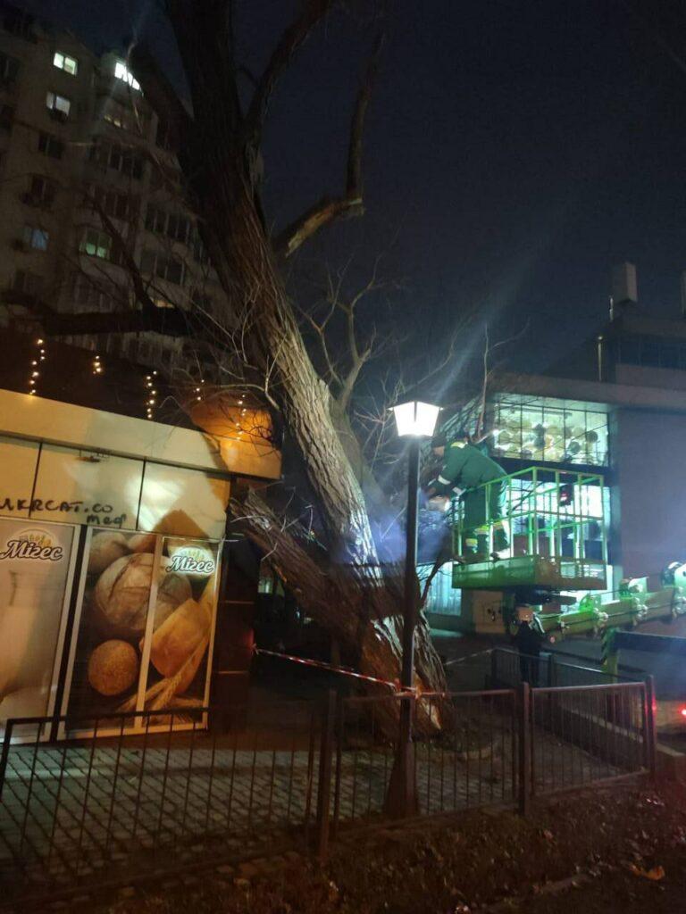 Наслідки негоди в Одесі: штормовий вітер повалив 15 дерев Наслідки негоди в Одесі: штормовий вітер повалив 15 дерев