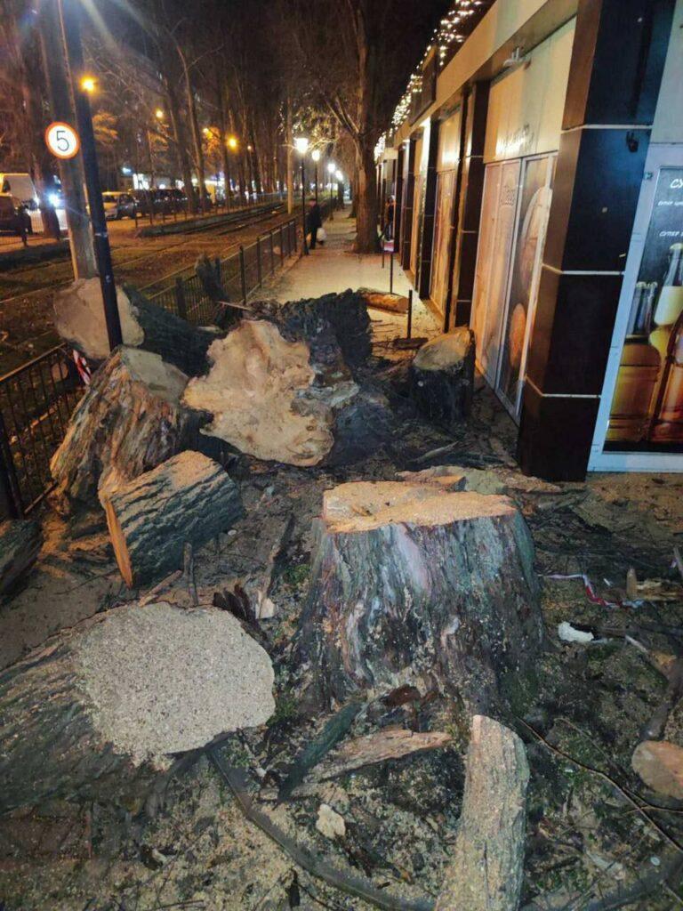 Наслідки негоди в Одесі: штормовий вітер повалив 15 дерев