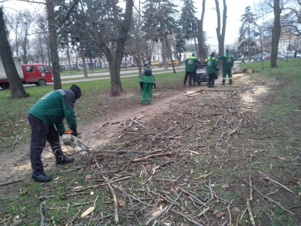Наслідки негоди в Одесі: штормовий вітер повалив 15 дерев Наслідки негоди в Одесі: штормовий вітер повалив 15 дерев