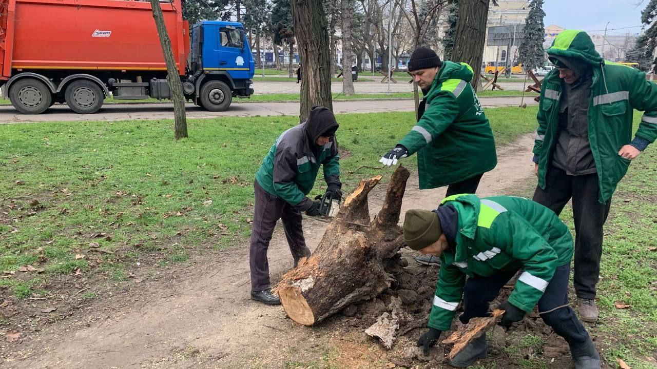 Наслідки негоди в Одесі: штормовий вітер повалив 15 дерев Наслідки негоди в Одесі: штормовий вітер повалив 15 дерев