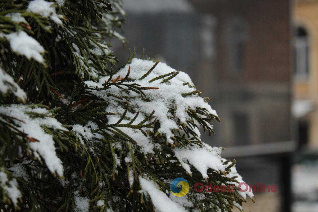 Зимовий день в Одесі: симфонія генераторів, засніжені вулиці та останні святкові ялинки