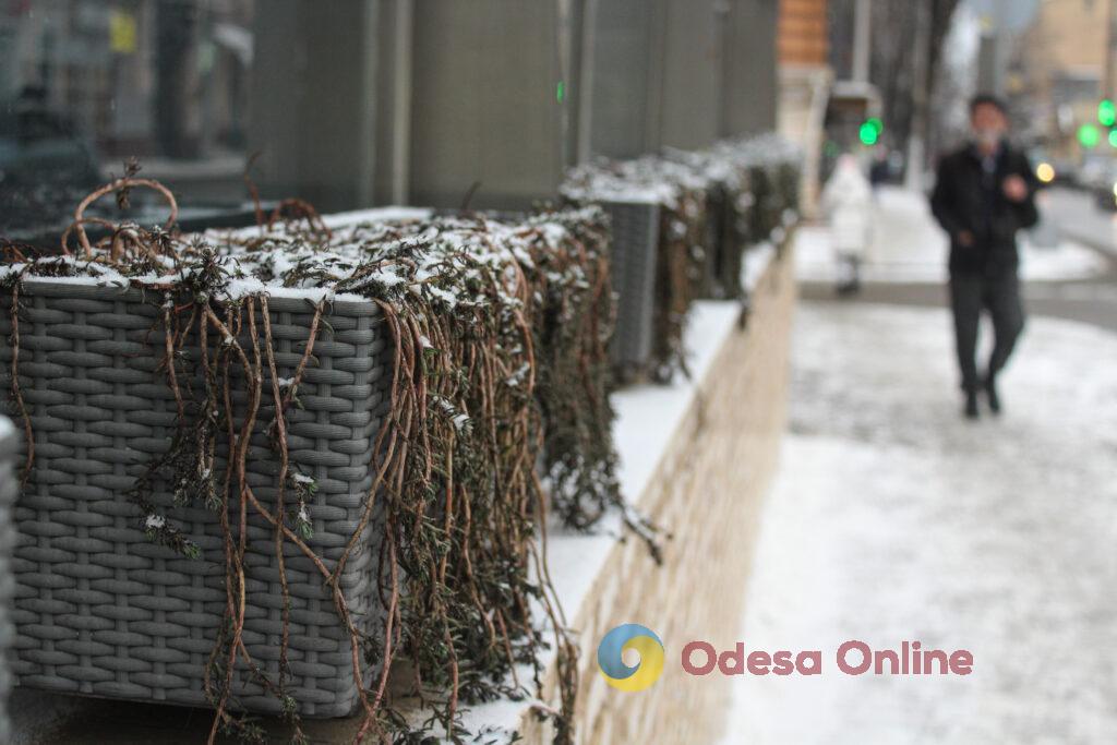 Зимовий день в Одесі: симфонія генераторів, засніжені вулиці та останні святкові ялинки