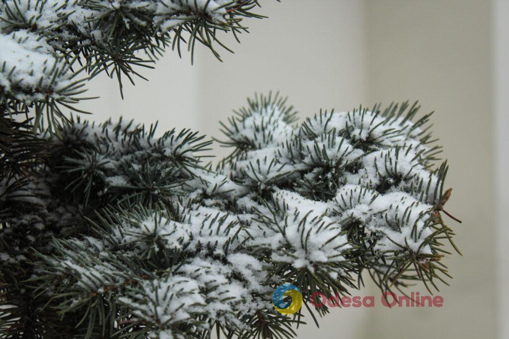 Зимовий день в Одесі: симфонія генераторів, засніжені вулиці та останні святкові ялинки