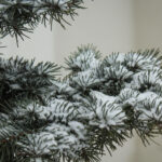 Снег и скользкие дороги: какой будет погода в Одессе и области 24 января