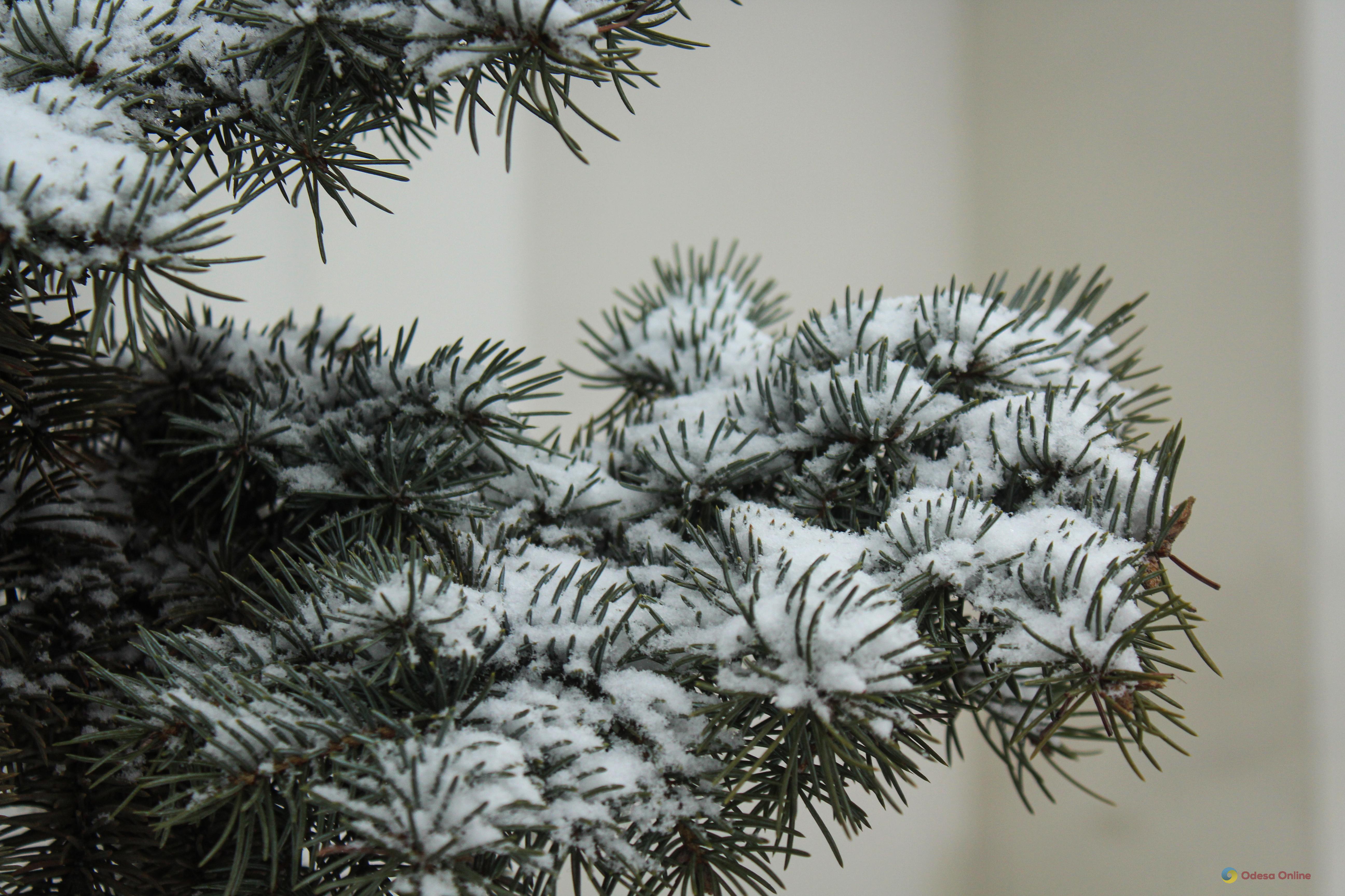 Сніг та слизькі дороги: якою буде погода в Одесі та області 24 січня Сніг та слизькі дороги: якою буде погода в Одесі та області 24 січня