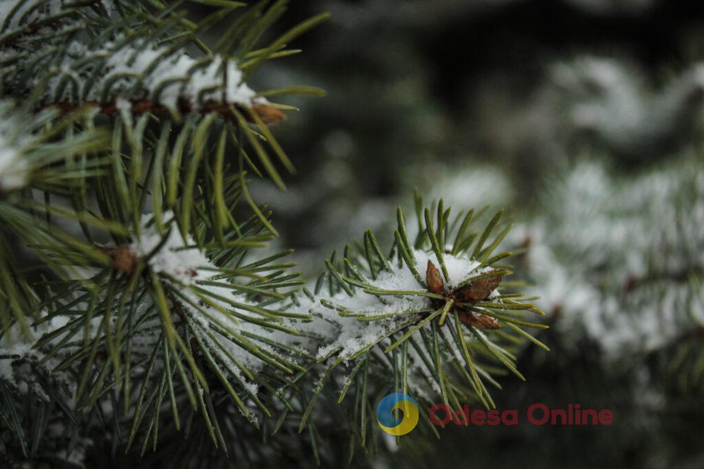 Зимовий день в Одесі: симфонія генераторів, засніжені вулиці та останні святкові ялинки