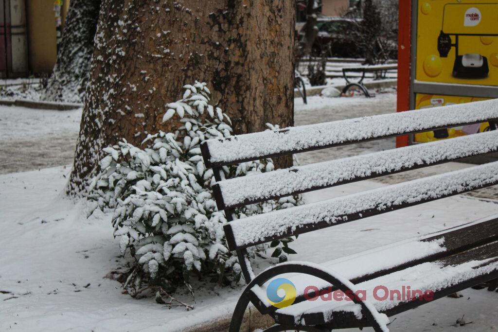 Зимовий день в Одесі: симфонія генераторів, засніжені вулиці та останні святкові ялинки