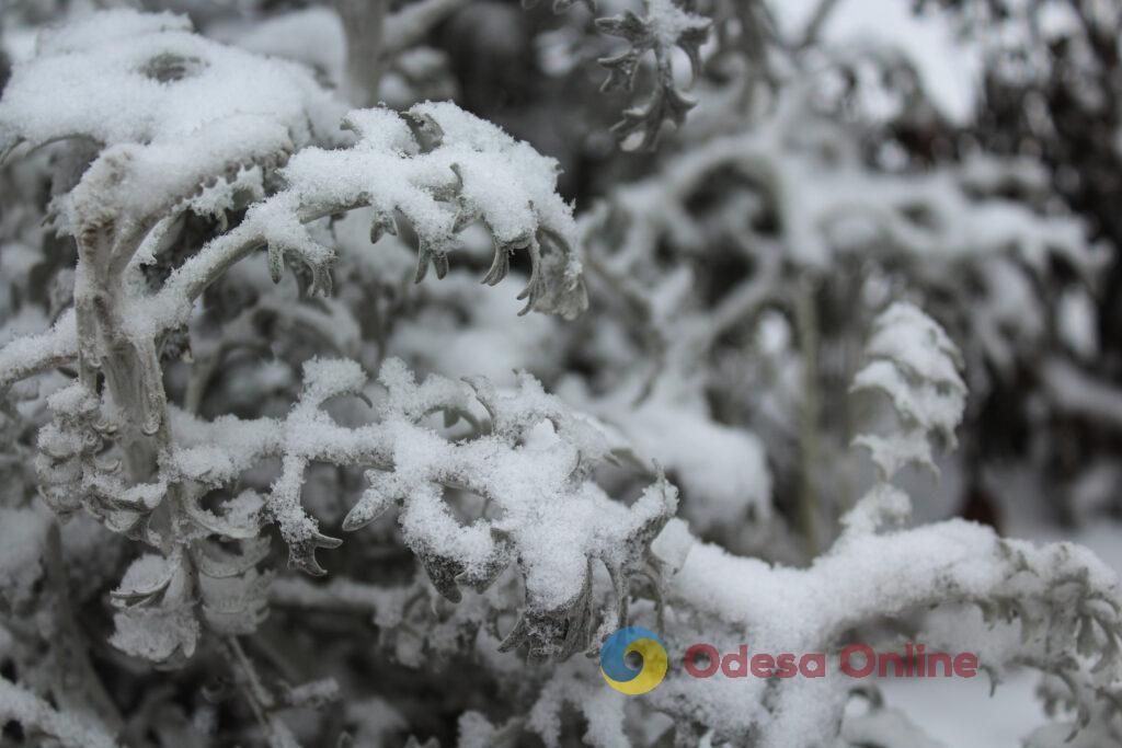 Зимовий день в Одесі: симфонія генераторів, засніжені вулиці та останні святкові ялинки