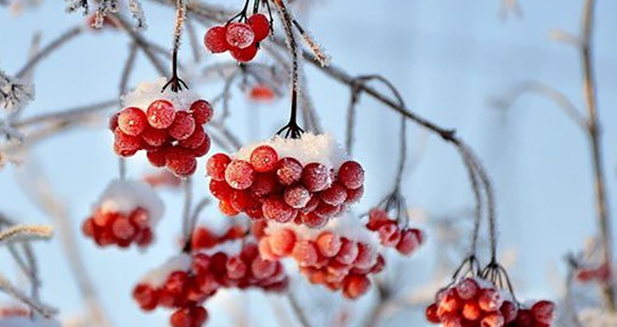 Якою буде погода в Одесі та області 14 січня