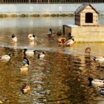 Какой будет погода в Одессе и области 17 января