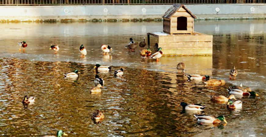 Какой будет погода в Одессе и области 17 января