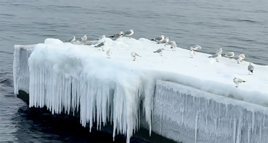 Якою буде погода в Одесі та області 23 січня
