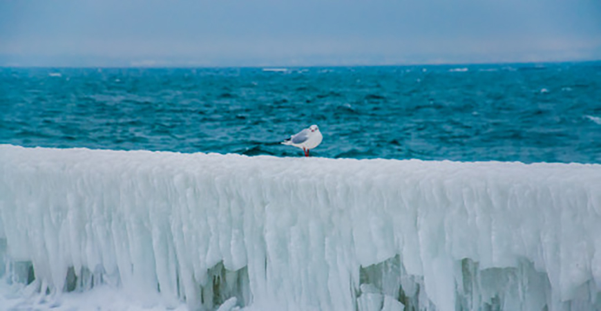 Якою буде погода в Одесі та області 1 лютого Якою буде погода в Одесі та області 1 лютого