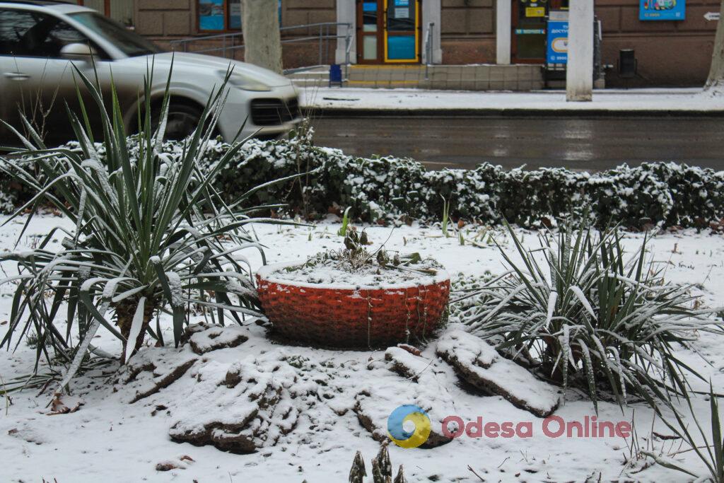 Зимовий день в Одесі: симфонія генераторів, засніжені вулиці та останні святкові ялинки