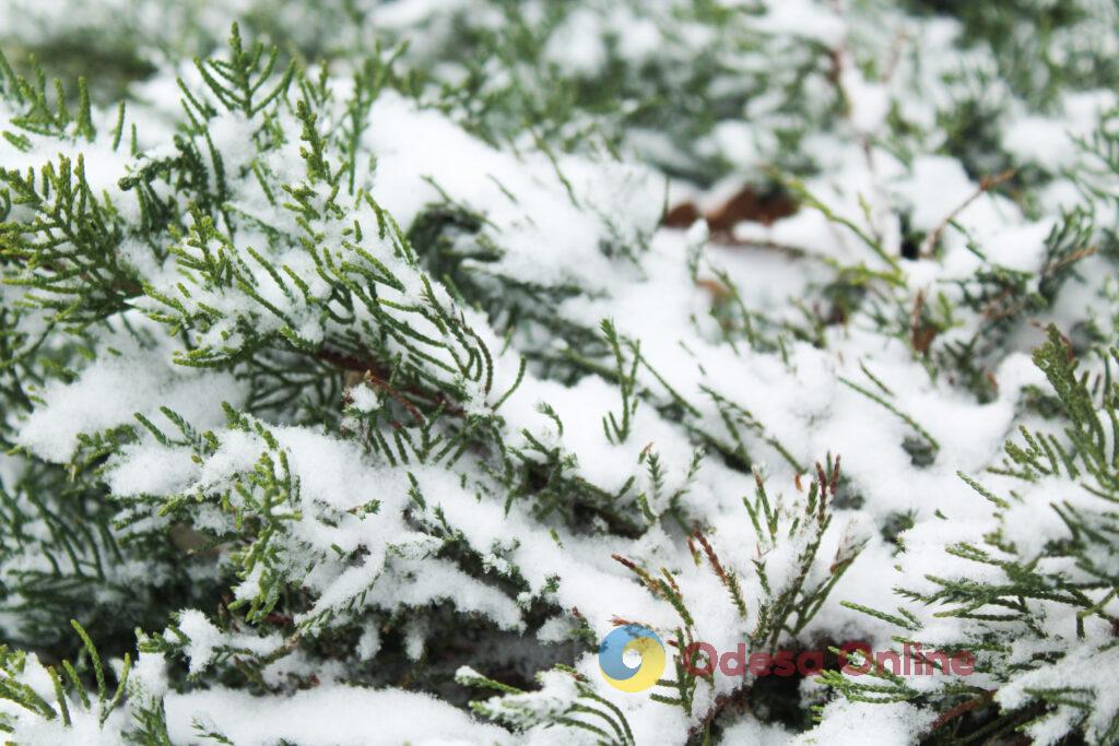 Зимовий день в Одесі: симфонія генераторів, засніжені вулиці та останні святкові ялинки