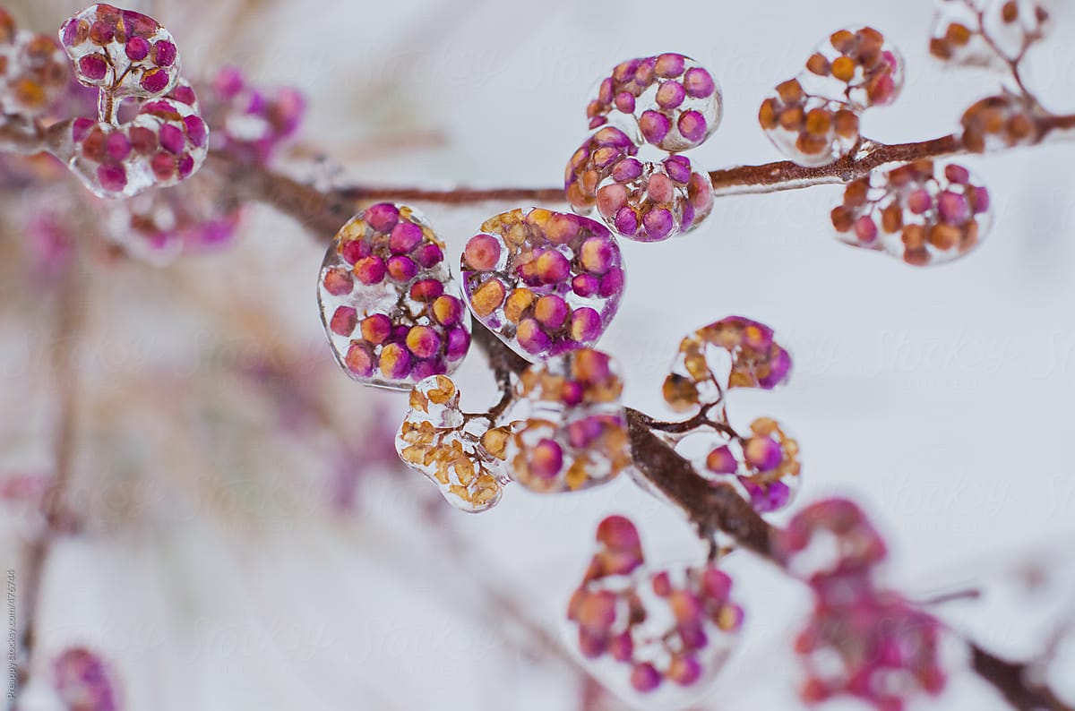 Гололед, туман и штормовой ветер: какой будет погода в Одессе и области 27 января Гололед, туман и штормовой ветер: какой будет погода в Одессе и области 27 января