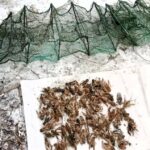 Более 300 тысяч гривен ущерба: в Одесской области задержали браконьера с уловом раков