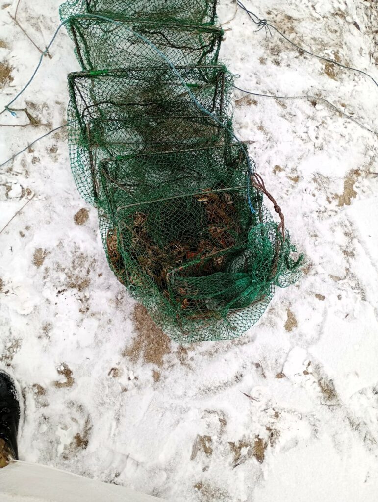 Понад 300 тисяч гривень збитків: на Одещині затримали браконьєра з уловом раків