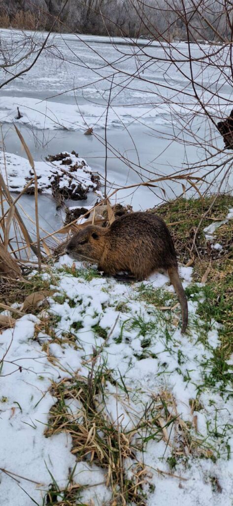 Їзда на мотоциклі та незаконна забудова: в Нацпарку на Одещині оштрафували порушників Їзда на мотоциклі та незаконна забудова: в Нацпарку на Одещині оштрафували порушників