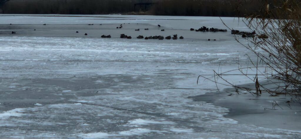 Їзда на мотоциклі та незаконна забудова: в Нацпарку на Одещині оштрафували порушників Їзда на мотоциклі та незаконна забудова: в Нацпарку на Одещині оштрафували порушників