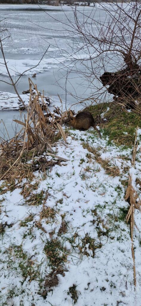 Їзда на мотоциклі та незаконна забудова: в Нацпарку на Одещині оштрафували порушників Їзда на мотоциклі та незаконна забудова: в Нацпарку на Одещині оштрафували порушників