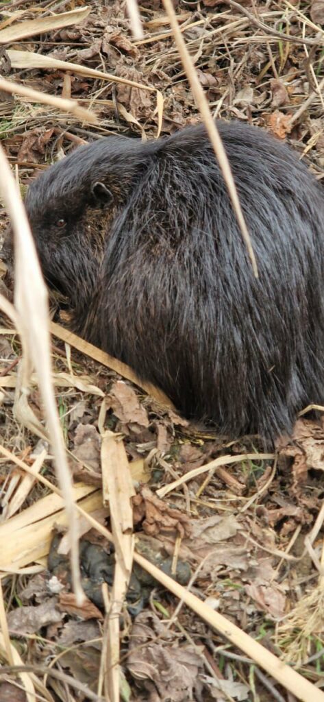 Їзда на мотоциклі та незаконна забудова: в Нацпарку на Одещині оштрафували порушників Їзда на мотоциклі та незаконна забудова: в Нацпарку на Одещині оштрафували порушників