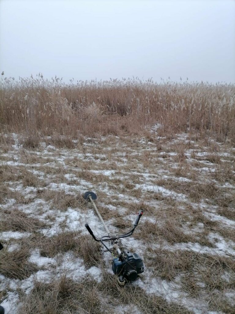 Їзда на мотоциклі та незаконна забудова: в Нацпарку на Одещині оштрафували порушників Їзда на мотоциклі та незаконна забудова: в Нацпарку на Одещині оштрафували порушників