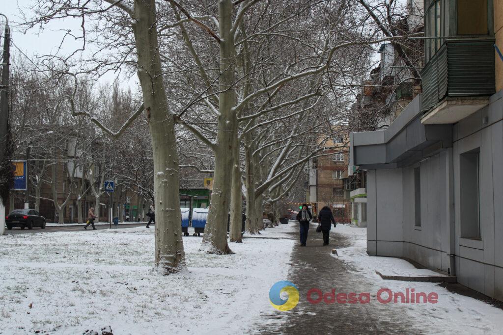 Зимовий день в Одесі: симфонія генераторів, засніжені вулиці та останні святкові ялинки