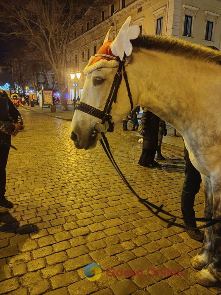 Первый вечер 2026 года в центре Одессы: яркая иллюминация и пустые улицы (фоторепортаж)