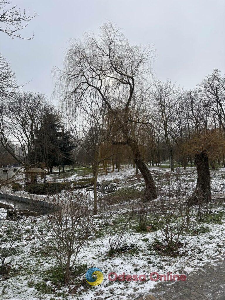 Первые снеговики и крещенские купания: фотохроника недели в Одессе