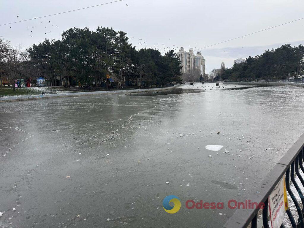 Первые снеговики и крещенские купания: фотохроника недели в Одессе