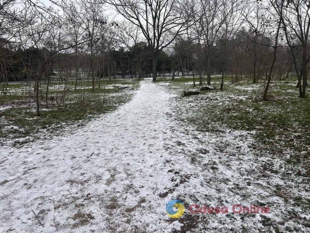 Первые снеговики и крещенские купания: фотохроника недели в Одессе