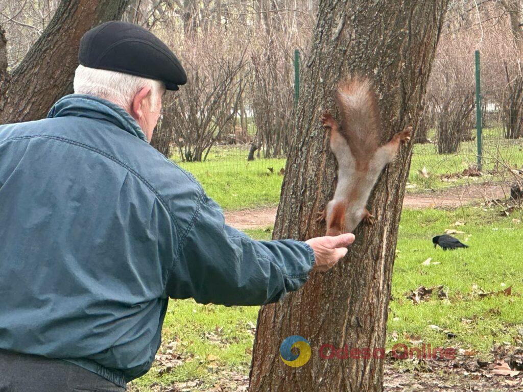 Первые снеговики и крещенские купания: фотохроника недели в Одессе