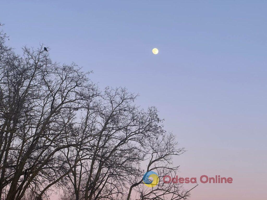 Первые снеговики и крещенские купания: фотохроника недели в Одессе