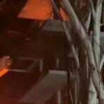 photo_2026-01-13_04-11-50 (2)