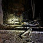 photo_2026-01-13_04-11-52 (2)