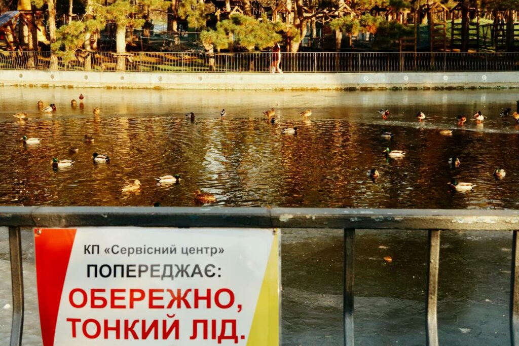 Хрустальные пруды и неугомонные птицы: как выглядит январь в одесском парке Победы