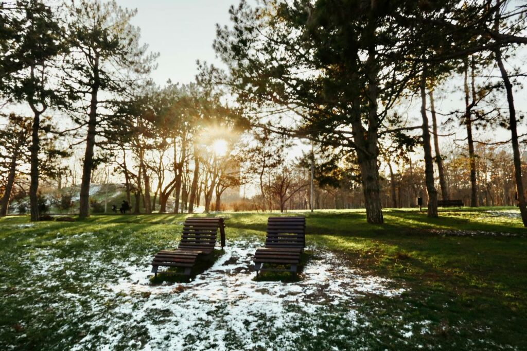 Хрустальные пруды и неугомонные птицы: как выглядит январь в одесском парке Победы