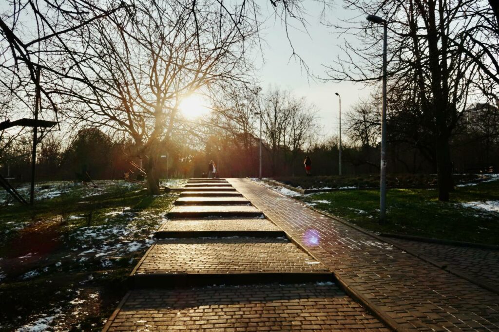 Хрустальные пруды и неугомонные птицы: как выглядит январь в одесском парке Победы