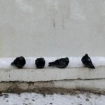 Мороз, в регионе местами гололедица: прогноз погоды в Одессе и области на 19 января