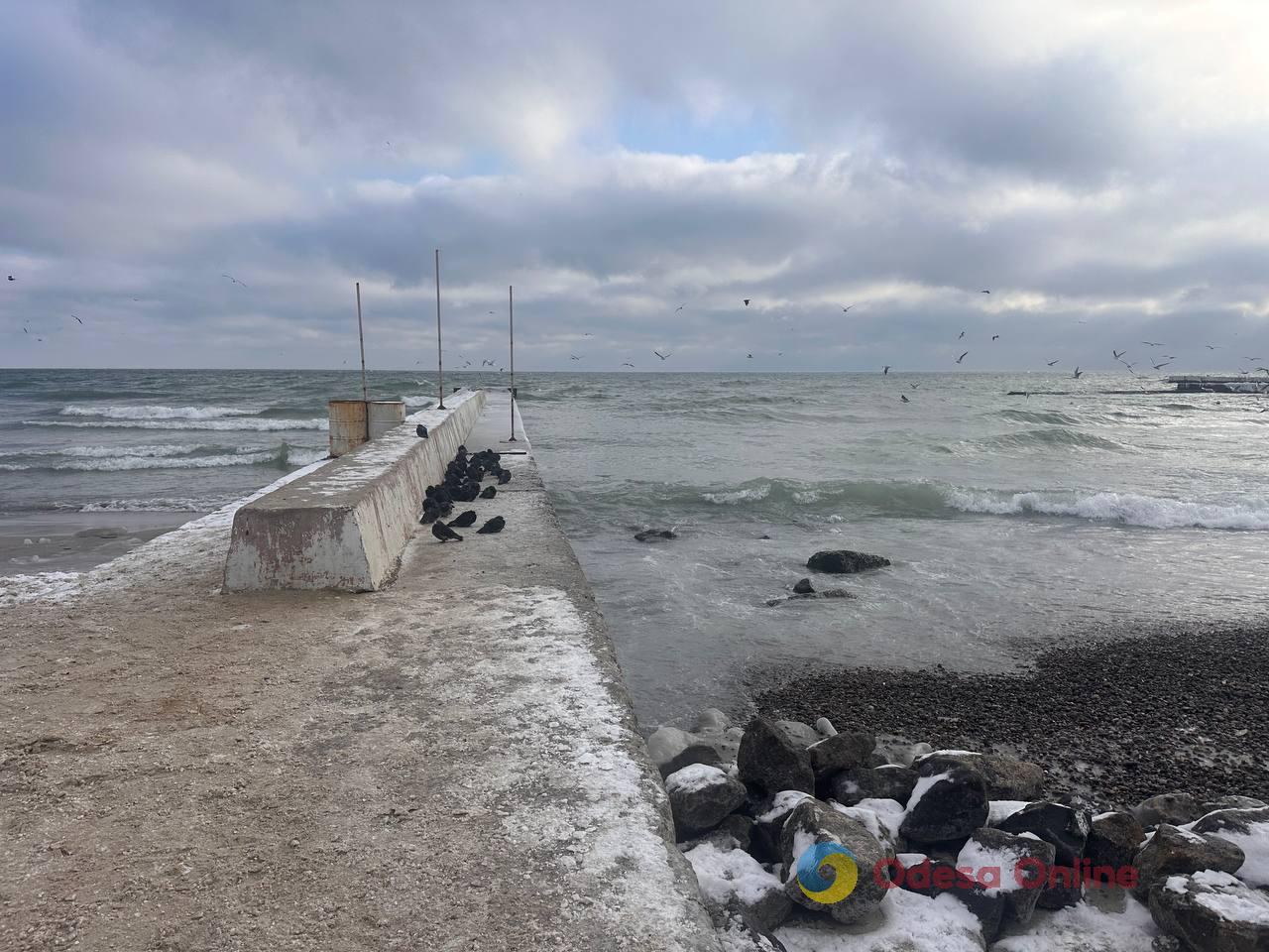 Зима по-одеські (фоторепортаж)