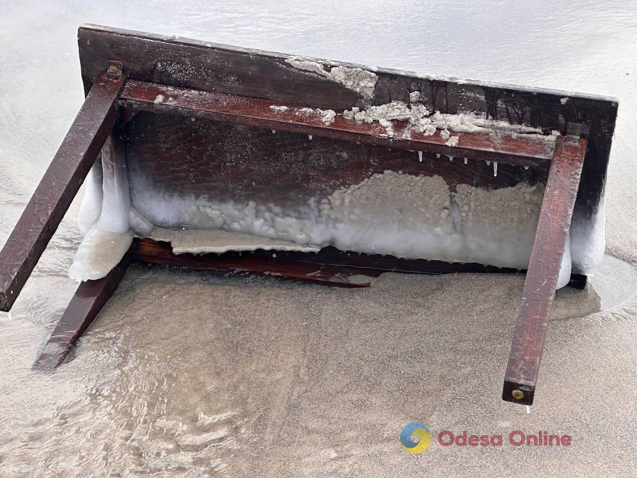 Зима по-одеські (фоторепортаж)