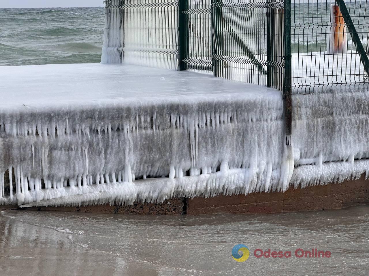 Зима по-одеські (фоторепортаж)