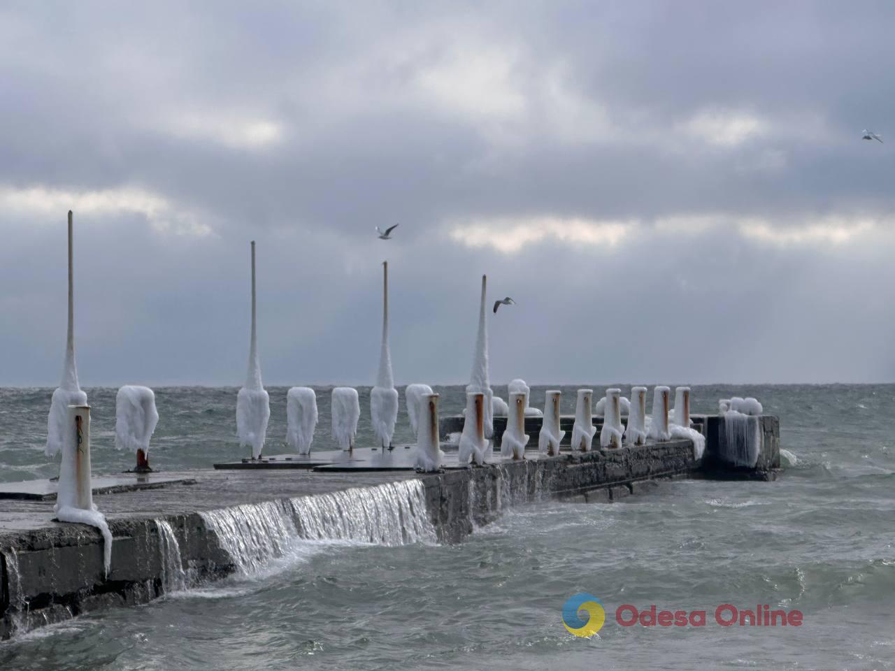 Зима по-одеські (фоторепортаж)