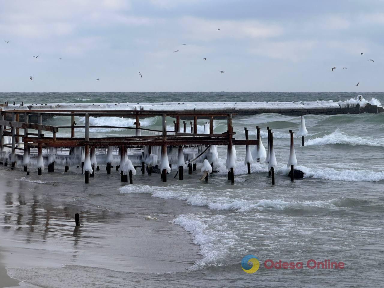 Зима по-одеські (фоторепортаж)