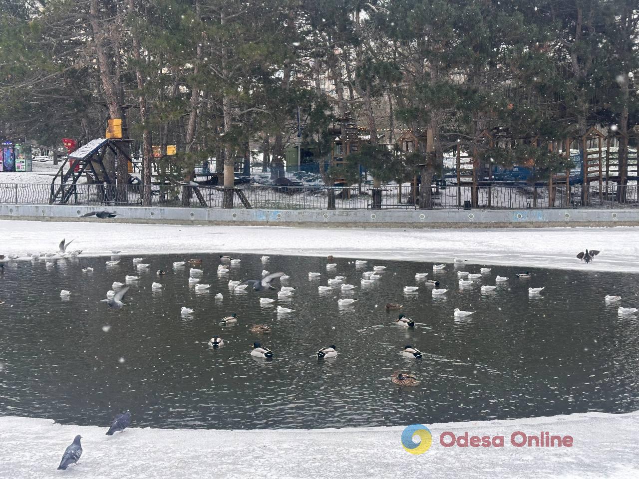 Фото недели: морозная Одесса и последствия атаки