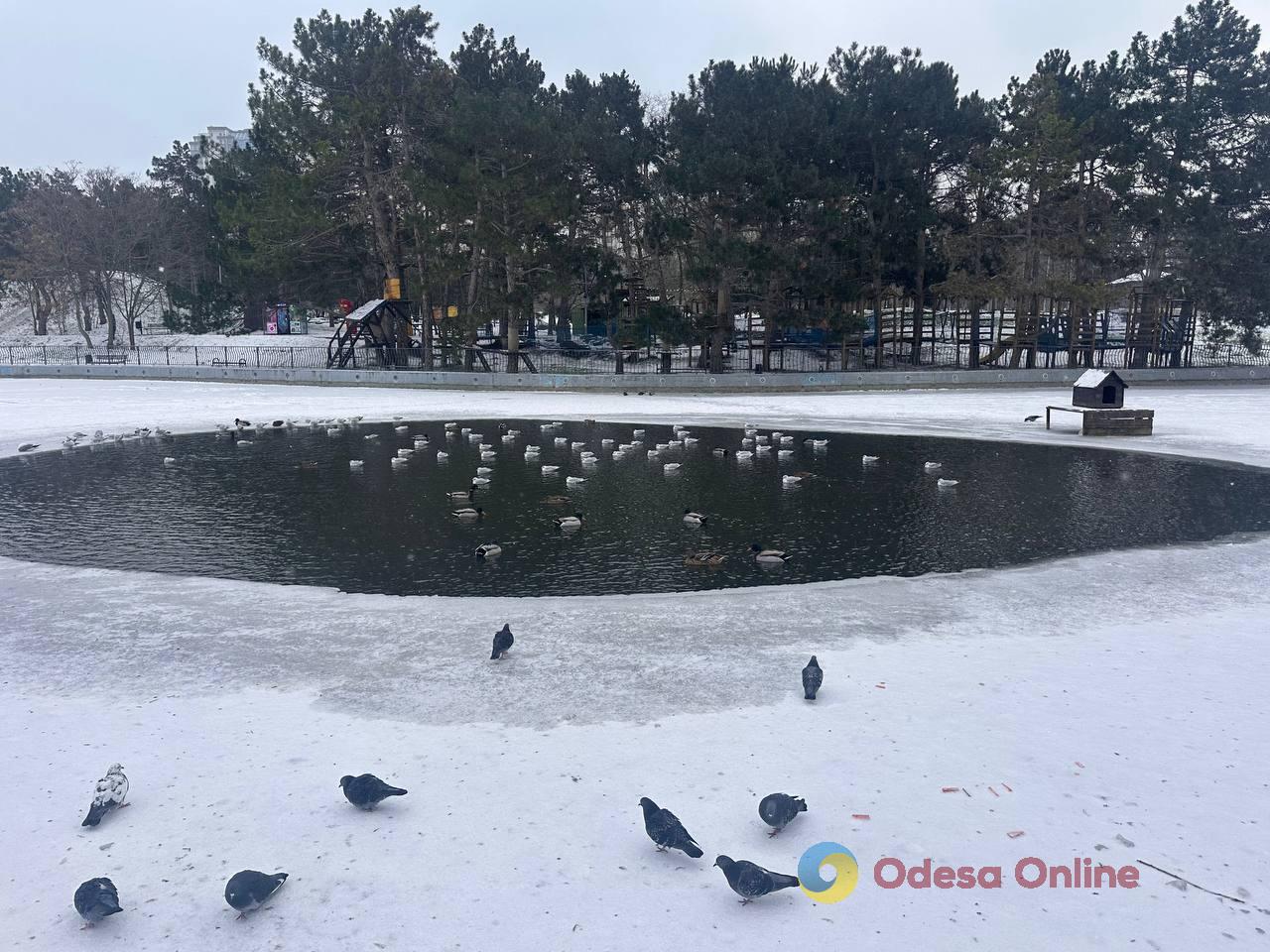 Зима по-одеські (фоторепортаж)